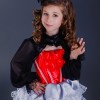 снегирь (2)